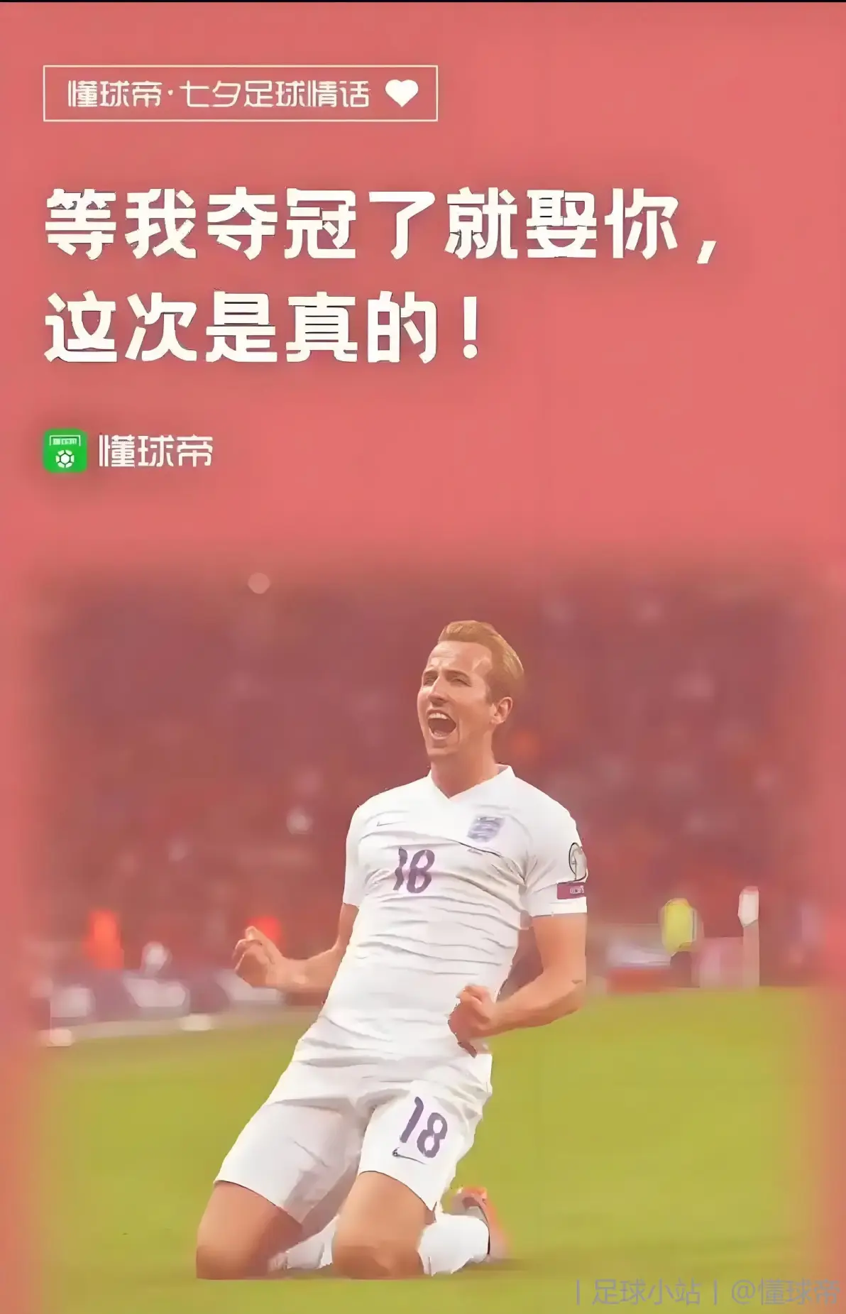 包含拜仁慕尼黑领跑德甲积分榜，领先优势持续扩大的词条